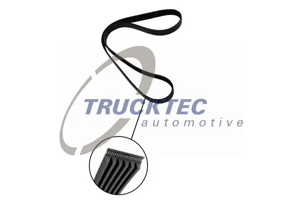 Keilrippenriemen TRUCKTEC AUTOMOTIVE 22.19.005
