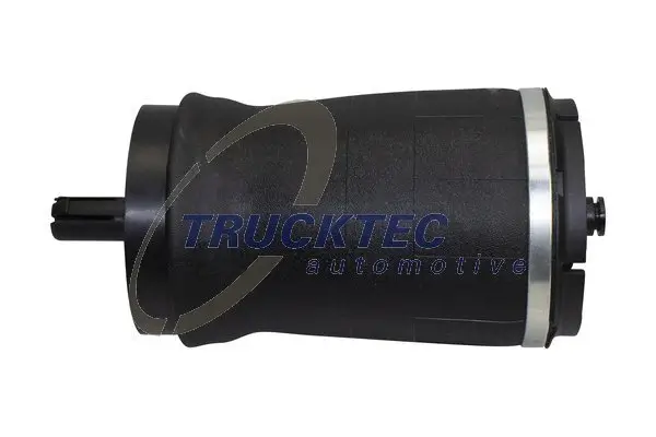 Luftfeder, Fahrwerk Hinterachse links TRUCKTEC AUTOMOTIVE 22.30.003