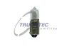 Gl&uuml;hlampe, Hauptscheinwerfer 12 V 6 W H6W TRUCKTEC AUTOMOTIVE 88.58.114