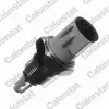 Sensor, Ansauglufttemperatur CALORSTAT by Vernet AS0002