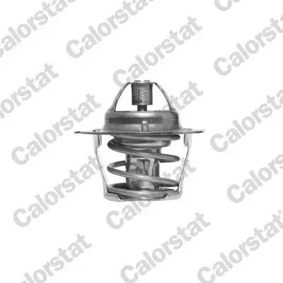 Thermostat, Kühlmittel CALORSTAT by Vernet TH1248.80J Bild Thermostat, Kühlmittel CALORSTAT by Vernet TH1248.80J