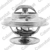 Thermostat, Kühlmittel CALORSTAT by Vernet TH1441.75J