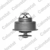 Thermostat, Kühlmittel CALORSTAT by Vernet TH4856.88J