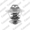 Thermostat, Kühlmittel CALORSTAT by Vernet TH5151.84J