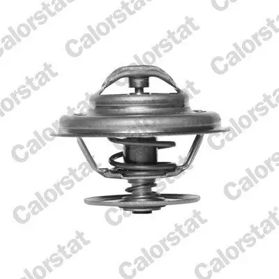 Thermostat, Kühlmittel CALORSTAT by Vernet TH5963.80J