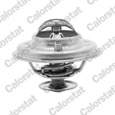 Thermostat, Kühlmittel CALORSTAT by Vernet TH5973.80J