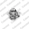 Thermostat, Kühlmittel CALORSTAT by Vernet TH6292.88J