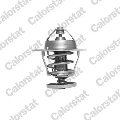Thermostat, Kühlmittel CALORSTAT by Vernet TH6296.78J