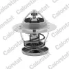 Thermostat, Kühlmittel CALORSTAT by Vernet TH6580.88J
