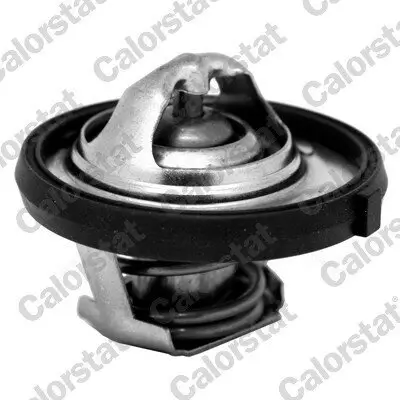 Thermostat, Kühlmittel CALORSTAT by Vernet TH7311.95J Bild Thermostat, Kühlmittel CALORSTAT by Vernet TH7311.95J