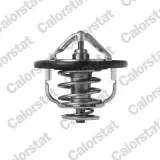 Thermostat, Kühlmittel CALORSTAT by Vernet TH7399.85J