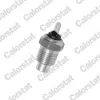 Sensor, Kühlmitteltemperatur CALORSTAT by Vernet WS2509