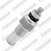 Sensor, Kühlmitteltemperatur CALORSTAT by Vernet WS2517