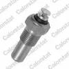 Sensor, Kühlmitteltemperatur CALORSTAT by Vernet WS2519