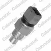 Sensor, Kühlmitteltemperatur CALORSTAT by Vernet WS2632
