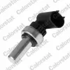 Sensor, Kühlmitteltemperatur CALORSTAT by Vernet WS2698