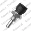 Sensor, Kühlmitteltemperatur CALORSTAT by Vernet WS3043
