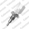 Sensor, Kühlmitteltemperatur CALORSTAT by Vernet WS3068