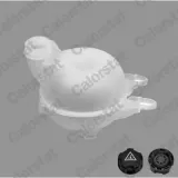 Schalter, Rückfahrleuchte CALORSTAT by Vernet RS5528