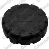 Schalter, Rückfahrleuchte CALORSTAT by Vernet RS5520