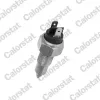 Schalter, R&uuml;ckfahrleuchte CALORSTAT by Vernet RS5525