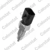 Schalter, R&uuml;ckfahrleuchte CALORSTAT by Vernet RS5528
