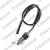 Schalter, R&uuml;ckfahrleuchte CALORSTAT by Vernet RS5556