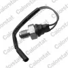Schalter, R&uuml;ckfahrleuchte CALORSTAT by Vernet RS5592