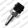 Schalter, R&uuml;ckfahrleuchte CALORSTAT by Vernet RS5652