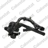 Thermostat, Kühlmittel CALORSTAT by Vernet TE7378.97J