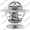 Thermostat, K&uuml;hlmittel CALORSTAT by Vernet TH1400.90J