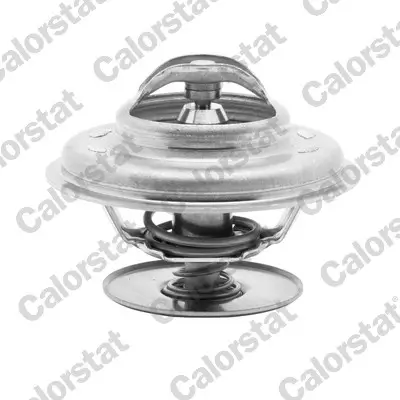 Thermostat, Kühlmittel CALORSTAT by Vernet TH1513.80J
