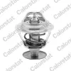Thermostat, K&uuml;hlmittel CALORSTAT by Vernet TH1542.89J