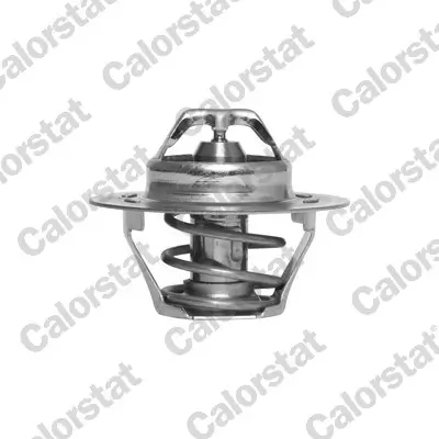 Thermostat, Kühlmittel CALORSTAT by Vernet TH4168.89J