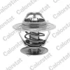 Thermostat, K&uuml;hlmittel CALORSTAT by Vernet TH4561.92J