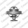 Thermostat, K&uuml;hlmittel CALORSTAT by Vernet TH4945.89J