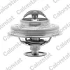 Thermostat, K&uuml;hlmittel CALORSTAT by Vernet TH4947.81J