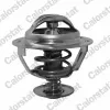 Thermostat, K&uuml;hlmittel CALORSTAT by Vernet TH5130.83J