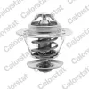 Thermostat, K&uuml;hlmittel CALORSTAT by Vernet TH5151.84J