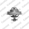 Thermostat, K&uuml;hlmittel CALORSTAT by Vernet TH5231.83J