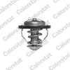 Thermostat, K&uuml;hlmittel CALORSTAT by Vernet TH5446.83J
