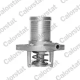 Thermostat, Kühlmittel CALORSTAT by Vernet TH5493.89J