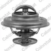 Thermostat, K&uuml;hlmittel CALORSTAT by Vernet TH6246.88J