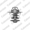 Thermostat, K&uuml;hlmittel CALORSTAT by Vernet TH6248.87J