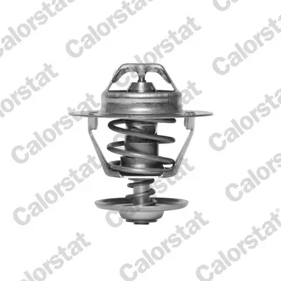 Thermostat, Kühlmittel CALORSTAT by Vernet TH6293.82J