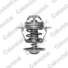 Thermostat, K&uuml;hlmittel CALORSTAT by Vernet TH6293.82J