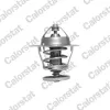 Thermostat, K&uuml;hlmittel CALORSTAT by Vernet TH6296.78J