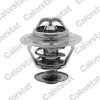 Thermostat, K&uuml;hlmittel CALORSTAT by Vernet TH6312.82J