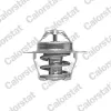 Thermostat, K&uuml;hlmittel CALORSTAT by Vernet TH6318.92J