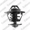 Thermostat, K&uuml;hlmittel CALORSTAT by Vernet TH6434.82J
